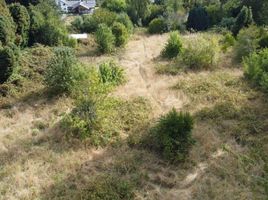  Terreno (Parcela) en venta en Los Ríos, Mariquina, Valdivia, Los Ríos