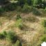  Terreno (Parcela) en venta en Los Ríos, Mariquina, Valdivia, Los Ríos