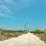  Land for sale in Ixil, Yucatan, Ixil, Yucatan