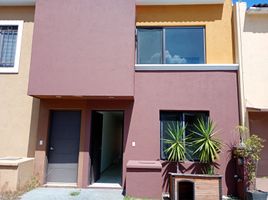 在Michoacan出租的2 卧室 屋, Morelia, Michoacan