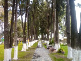  Grundstück zu verkaufen in San Jeronimo Tecuanipan, Puebla, San Jeronimo Tecuanipan, Puebla
