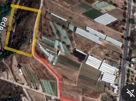  Terreno (Parcela) en venta en Tianguismanalco, Puebla, Tianguismanalco, Puebla