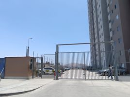 3 Bedroom Condo for rent in Peru, Comas, Lima, Lima, Peru