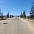  Land for sale in Cachapoal Libertador General Bernardo Ohiggins, Requinao, Cachapoal, Libertador General Bernardo Ohiggins, Chile