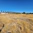  Land for sale in Cachapoal Libertador General Bernardo Ohiggins, Requinao, Cachapoal, Libertador General Bernardo Ohiggins, Chile
