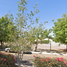 3 Bedroom Condo for sale in La Paz, Baja California Sur, La Paz, Baja California Sur