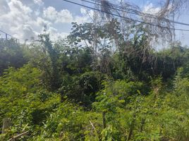  Land for sale in Cancun, Quintana Roo, Cancun