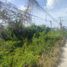  Land for sale in Cancun, Quintana Roo, Cancun