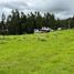  Land for sale in Javier Loyola Chuquipata, Canar, Javier Loyola Chuquipata, Azogues, Canar