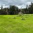  Land for sale in Canar, Javier Loyola Chuquipata, Azogues, Canar