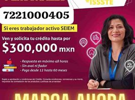  Hotel en venta en México, Toluca, México