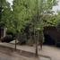 6 Schlafzimmer Haus zu verkaufen in Naucalpan De Juarez, Mexico, Naucalpan De Juarez