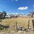  Land for rent in Morelia, Michoacan, Morelia, Michoacan