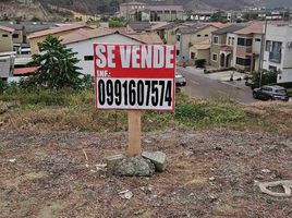  Terreno (Parcela) en venta en Daule, Guayas, Daule, Daule