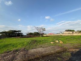  Land for sale in Samborondon, Guayas, Samborondon, Samborondon