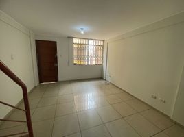 Appartement 3 chambre à vendre à Los Olivos, Lima, Los Olivos, Lima, Lima, Pérou