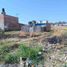  Grundstück zu verkaufen in Irapuato, Guanajuato, Irapuato