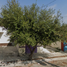 Villa 2 chambre à vendre à Juarez, Nuevo Leon, Juarez