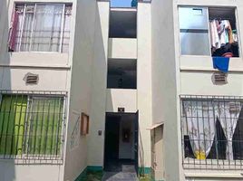 3 Schlafzimmer Appartement zu verkaufen in Puente Piedra, Lima, Puente Piedra