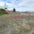  Land for sale in Colan, Piura, Colan, Paita