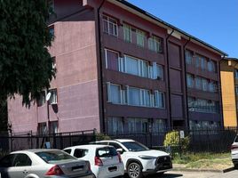3 chambre Appartement for rent in Los Rios, Mariquina, Valdivia, Los Rios