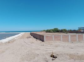  Terreno (Parcela) en venta en Contralmirante Villar, Tumbes, Zorritos, Contralmirante Villar