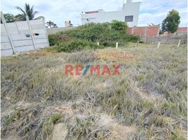  Terreno (Parcela) en venta en Paita, Piura, Colan, Paita