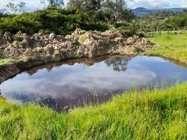  Land for sale in Ciudad de Dios, Fundación Santa Teresa de Ávila, Villa De Leyva, Villa De Leyva