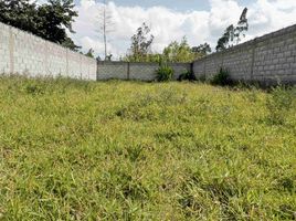  Land for sale in Imbabura, Quiroga, Cotacachi, Imbabura