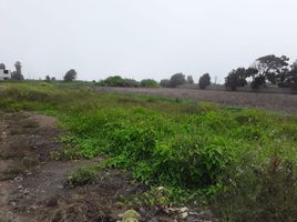  Terreno (Parcela) en alquiler en Aucallama, Huaral, Aucallama