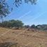 Land for sale in Del Centro, Oaxaca, Del Centro, Oaxaca