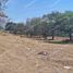  Land for sale in Del Centro, Oaxaca, Del Centro, Oaxaca