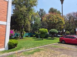 2 Habitación Apartamento en alquiler en Coyoacan, Ciudad de México, Coyoacan