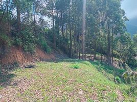 Terrain à vendre à Medellin, Antioquia, Medellin