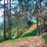 Terrain à vendre à Medellin, Antioquia, Medellin