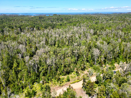  Terreno (Parcela) en venta en Chile, Calbuco, Llanquihue, Los Lagos, Chile
