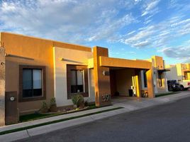 3 Habitación Villa en alquiler en Hermosillo, Sonora, Hermosillo, Sonora