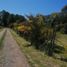  Terreno (Parcela) en venta en Loncoche, Cautín, Loncoche