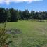  Terreno (Parcela) en venta en Loncoche, Cautín, Loncoche