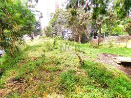  Land for sale in Envigado, Antioquia, Envigado