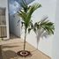 4 Bedroom House for rent in Merida, Yucatan, Merida