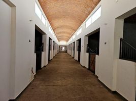  Grundstück zu verkaufen in Lagos De Moreno, Jalisco, Lagos De Moreno