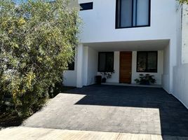 Appartement 3 chambre à vendre à Zapopan, Jalisco, Zapopan