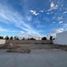  Terreno (Parcela) en venta en Torreon, Coahuila, Torreon