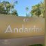  Land for sale in Cozumel, Quintana Roo, Cozumel