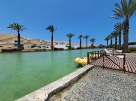  Terreno (Parcela) en venta en Cañete, Lima, Asia, Cañete