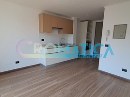 1 Habitación Apartamento en alquiler en Restaurante Tierra Norteña, Machali, Requinao