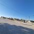  Land for sale in Juarez, Chihuahua, Juarez