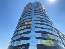 2 Habitación Apartamento en alquiler en Ocoyucan, Puebla, Ocoyucan