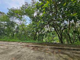 Terrain à vendre à Antipolo City, Calabarzon, Antipolo City, Rizal